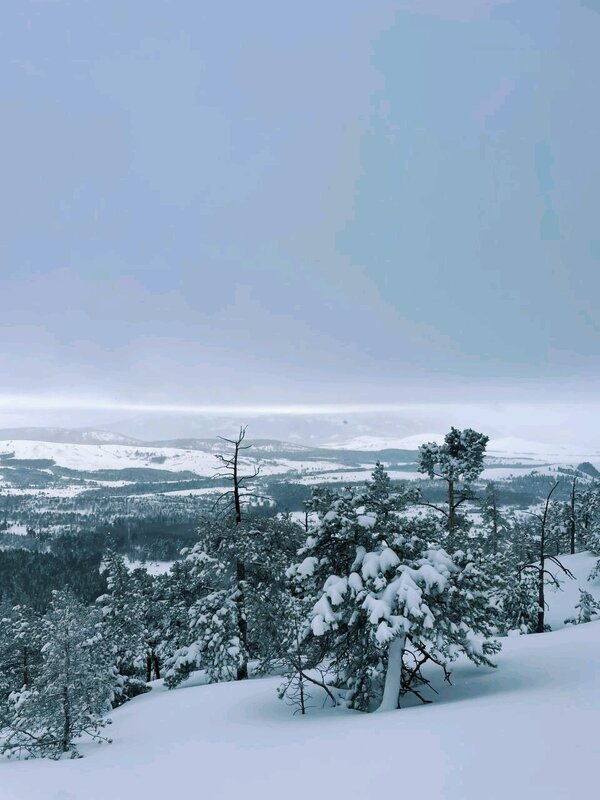 Вечер - Георгиевич Вечер - Георгиевич