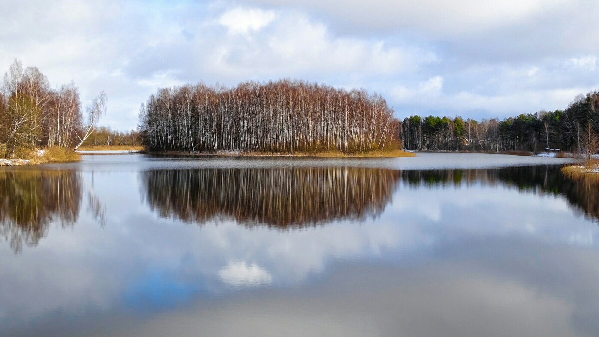 Островок с берёзовой рощей. - Милешкин Владимир Алексеевич Островок с берёзовой рощей. - Милешкин Владимир Алексеевич