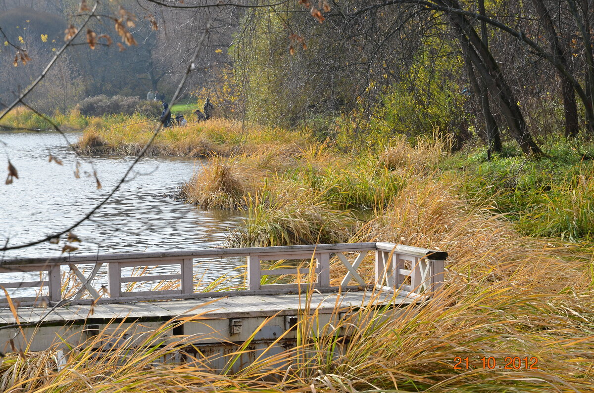 Пруд - Валерий Пославский Пруд - Валерий Пославский
