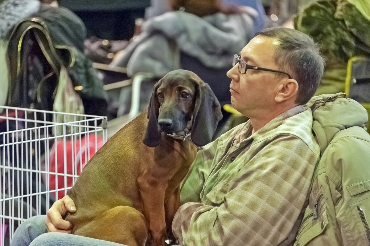 Первый раз на выставке - Валерий Иванович Первый раз на выставке - Валерий Иванович