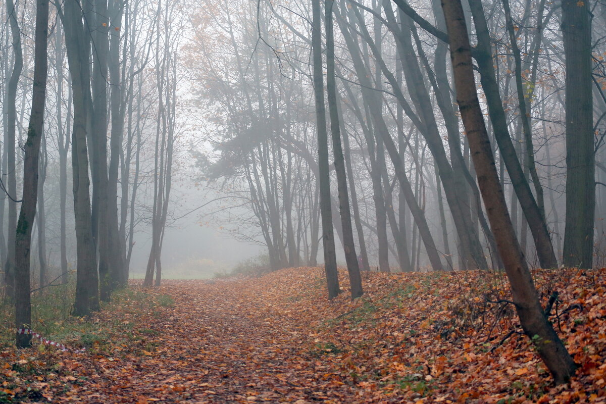 Октябрь - Михаил Бибичков Октябрь - Михаил Бибичков