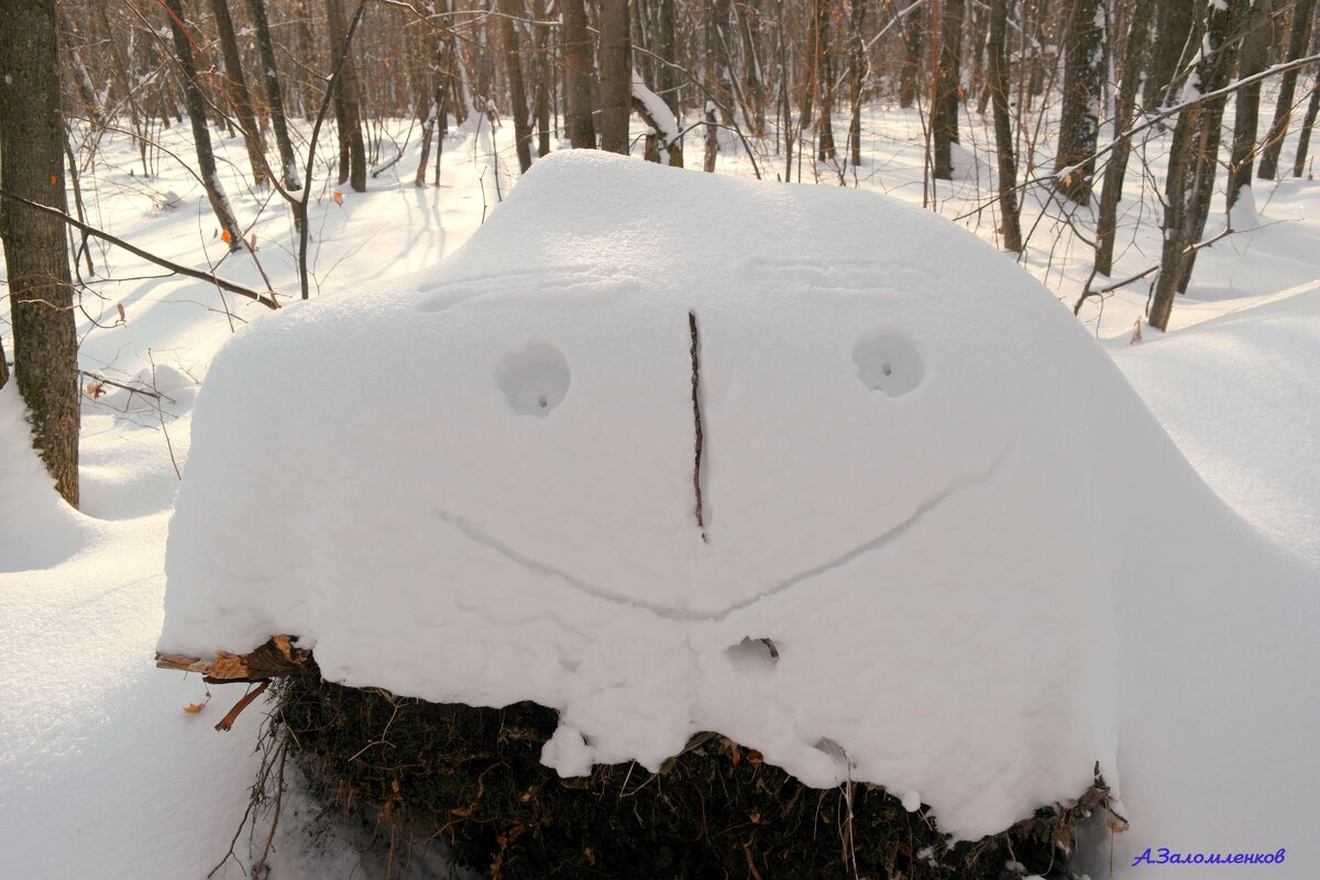 Больше оптимизма, зима скоро заканчивается! :-) - Андрей Заломленков