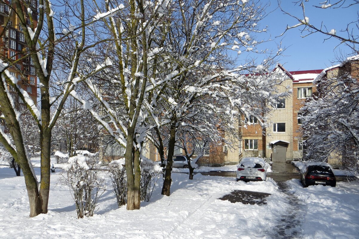 Красивый зимний день - Татьяна Смоляниченко Красивый зимний день - Татьяна Смоляниченко