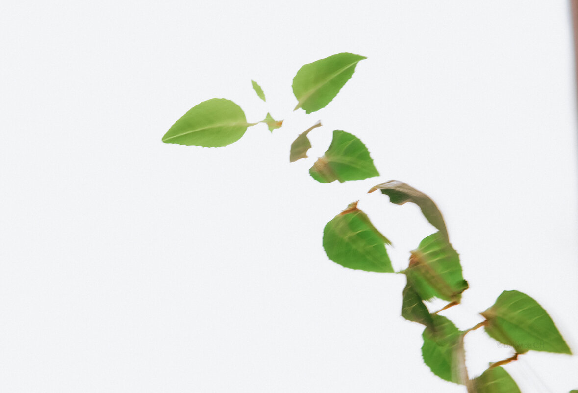 Минимализм - Sergei Vikulov