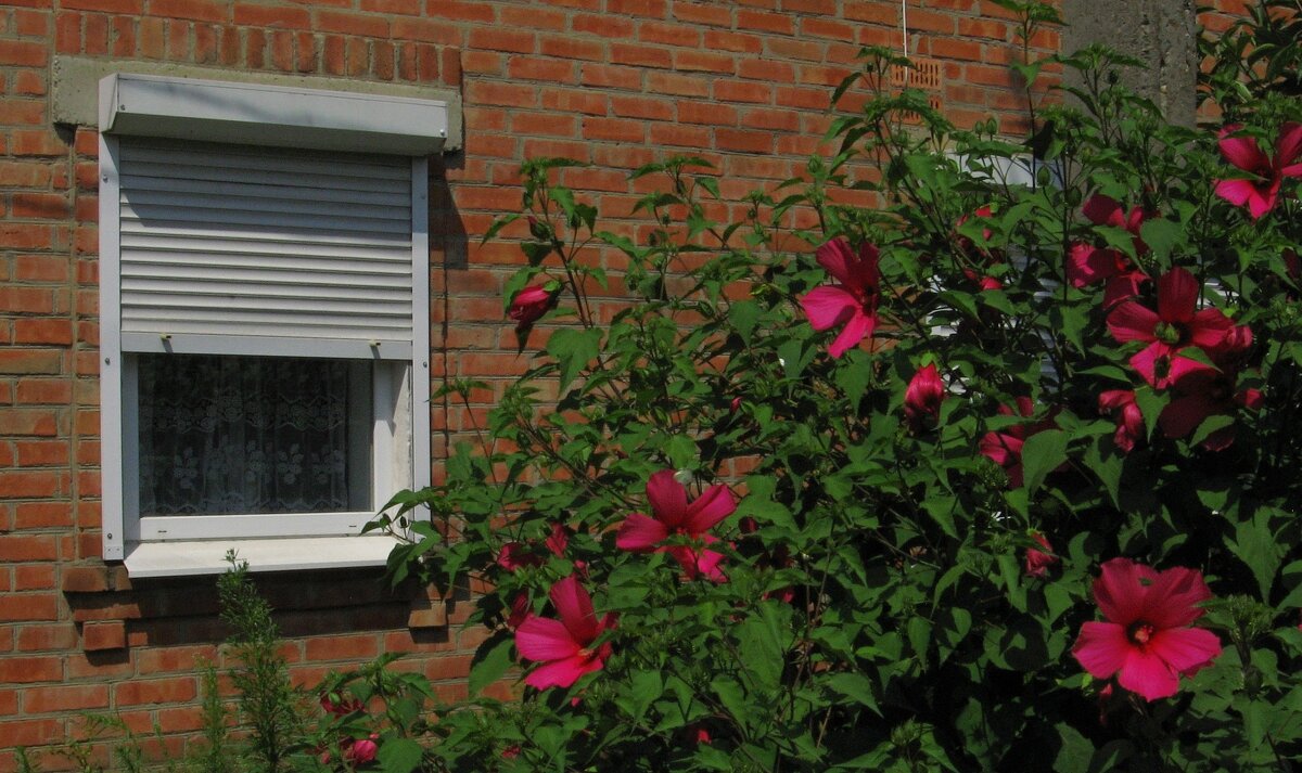 . - Александр Хоменко