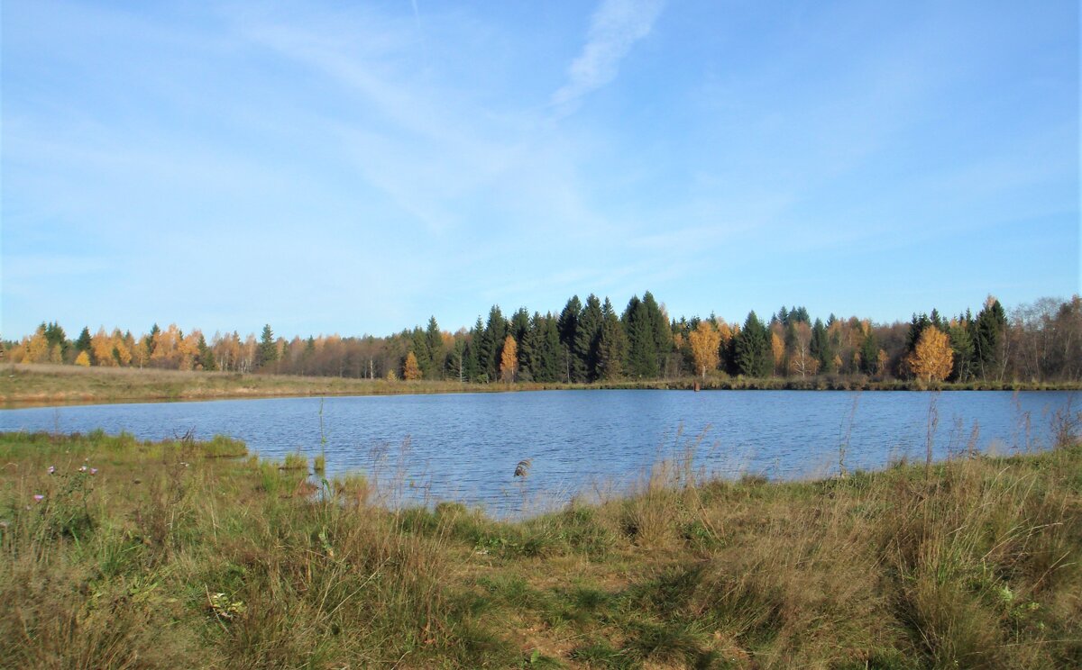 Вот и Осень.... - Olga Oskolkova Вот и Осень.... - Olga Oskolkova