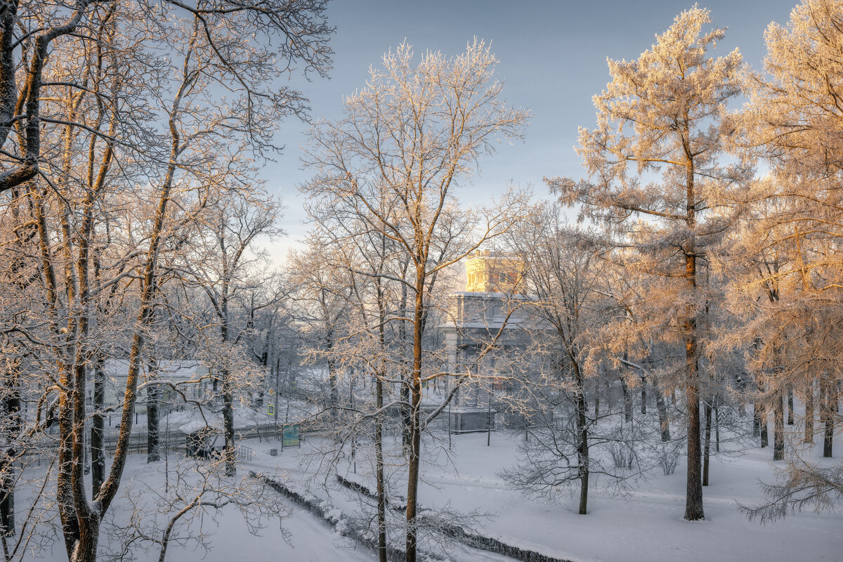 Про Питер - Владимир Колесников