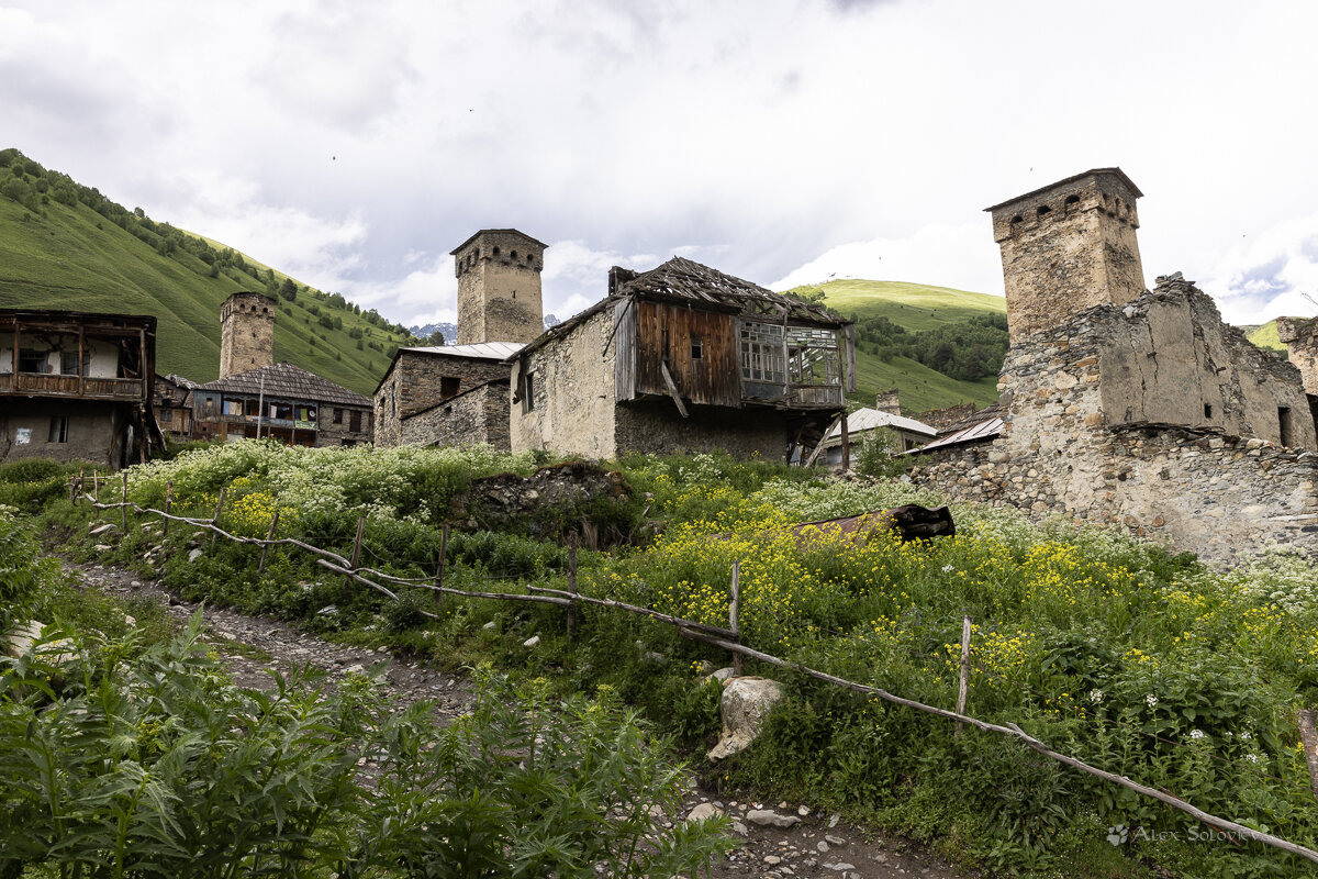 **** - Алексей Соловьев