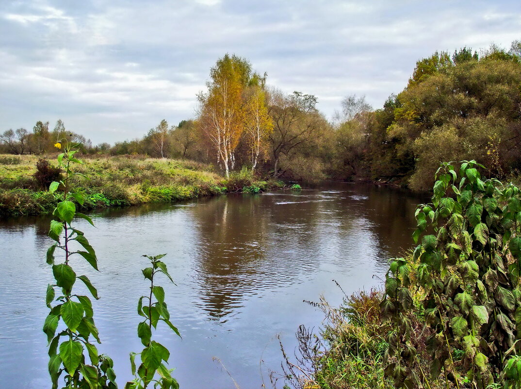 р. Свислочь - Ион Круглик р. Свислочь - Ион Круглик