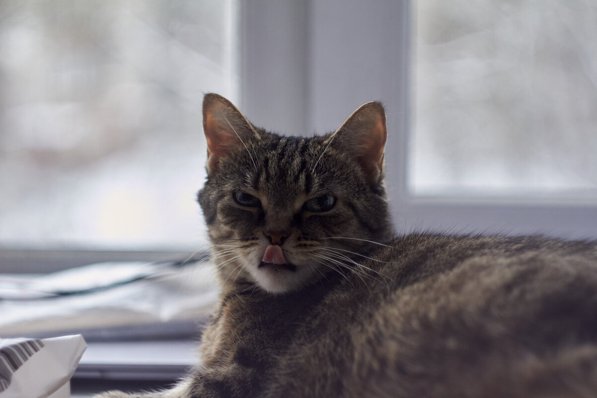 дома - Александр 