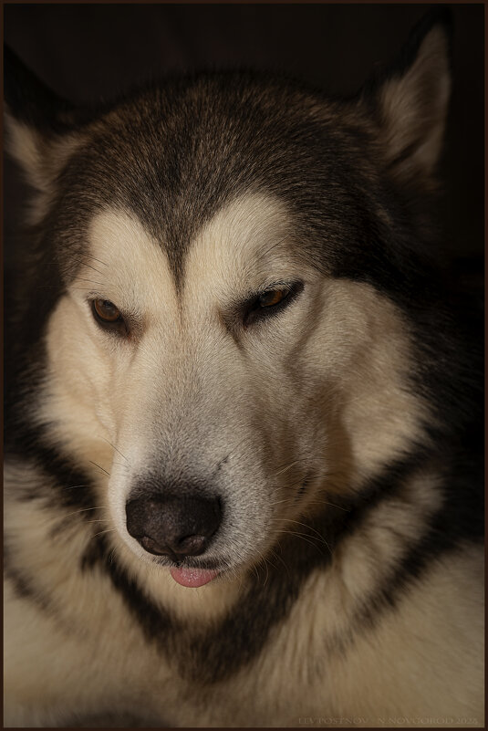 Ярик. - leff Postnov