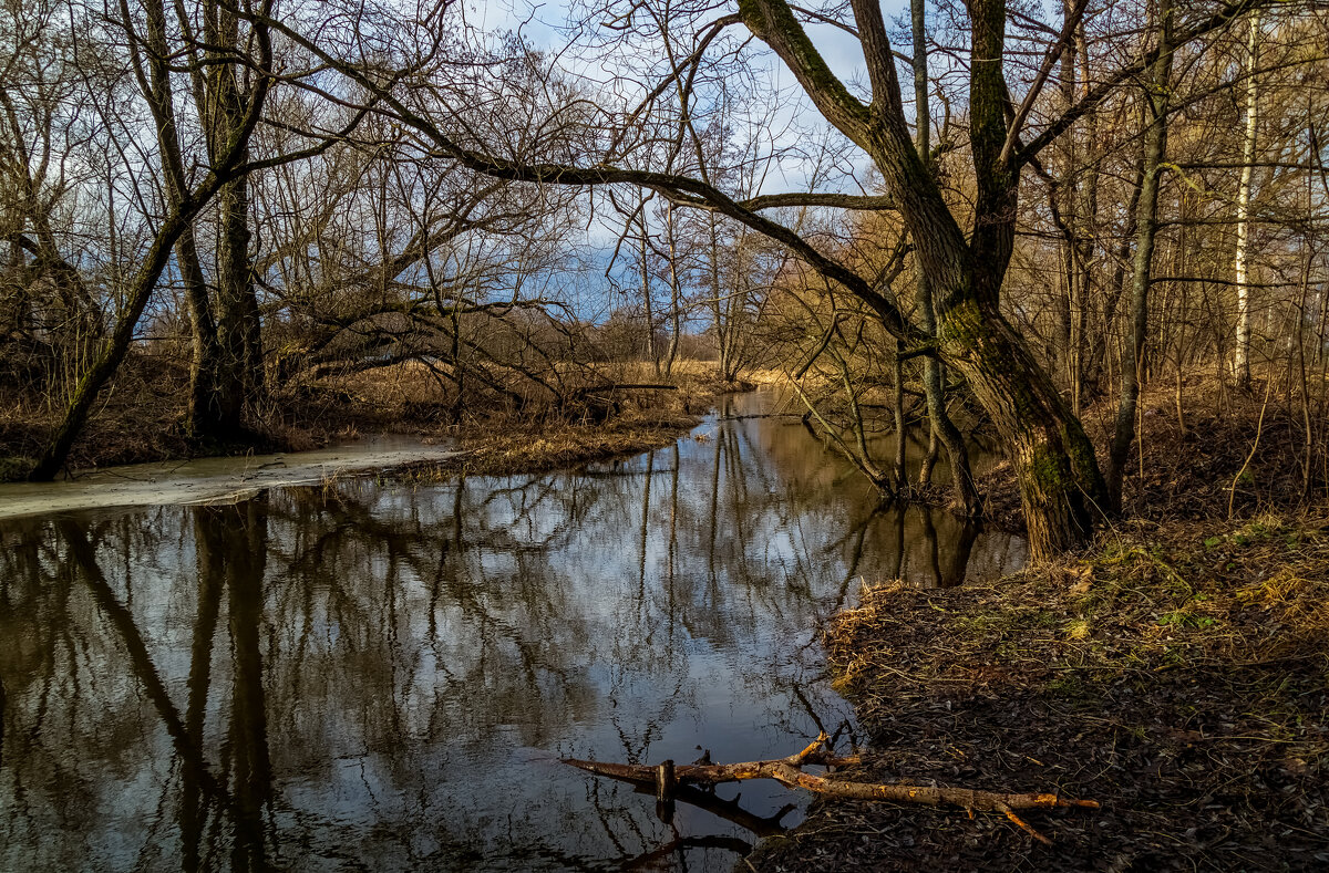 Февральское, зимние утро :) 4 - Андрей Дворников Февральское, зимние утро :) 4 - Андрей Дворников