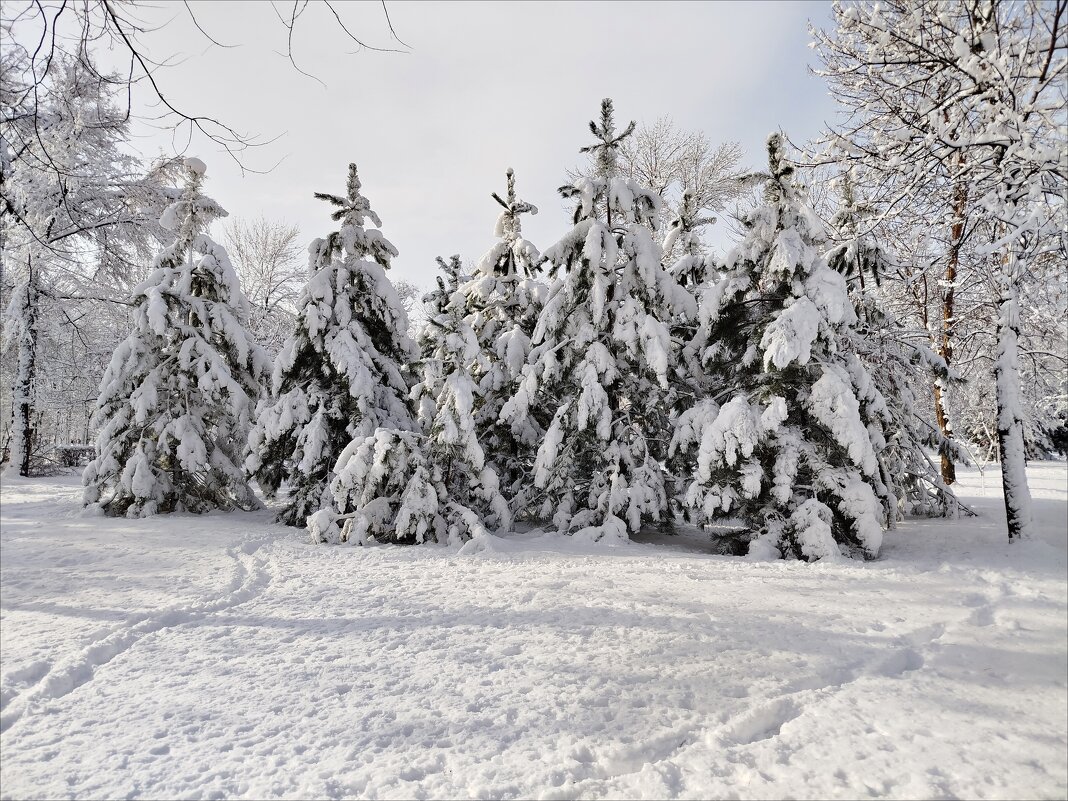 Дружная семейка! - Надежда Дружная семейка! - Надежда