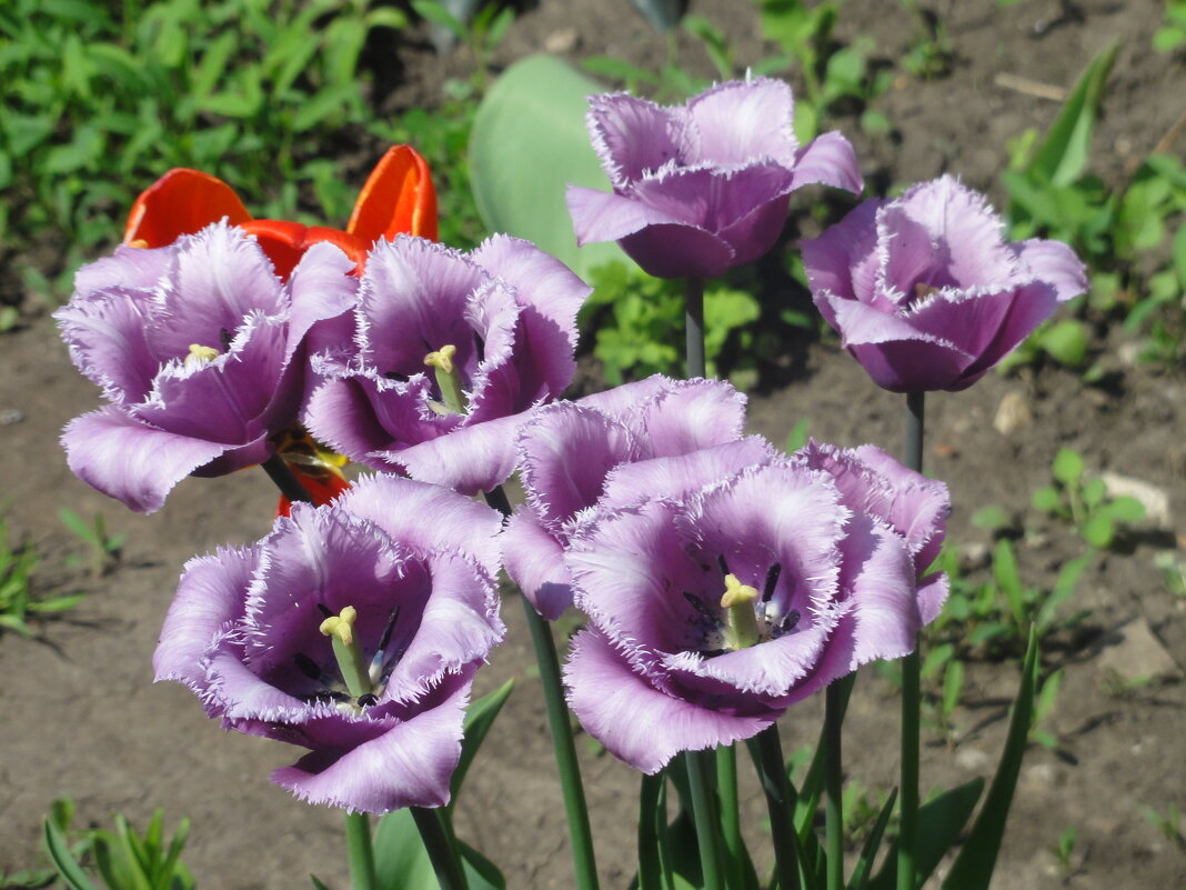 ... - марина ковшова ... - марина ковшова