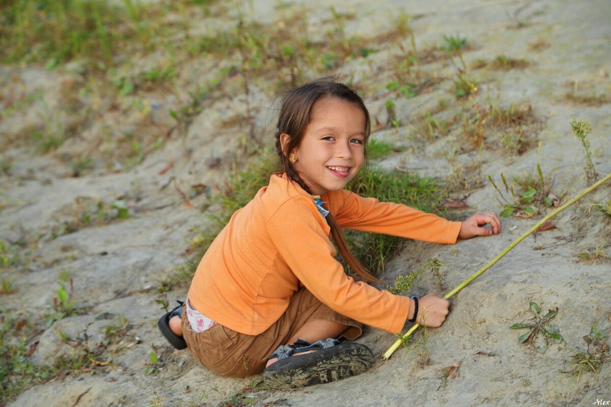 3718 - Alex . 3718 - Alex .