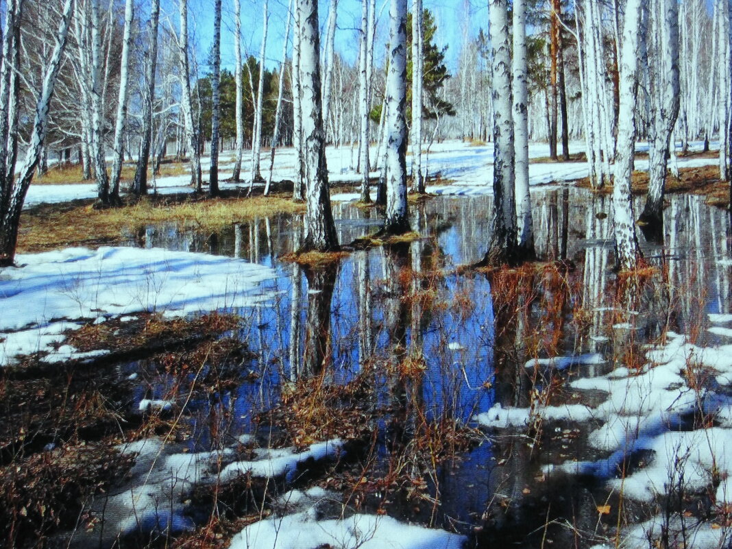 Быстро тает снег - Людмила Смородинская Быстро тает снег - Людмила Смородинская