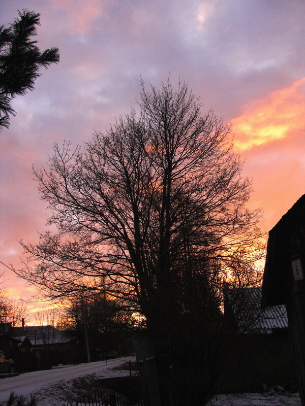 Солнце проснулось - Людмила Смородинская