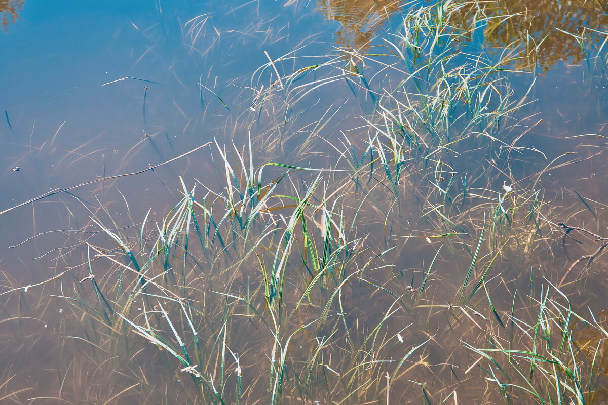 Название отсутствует - Денис Безногов