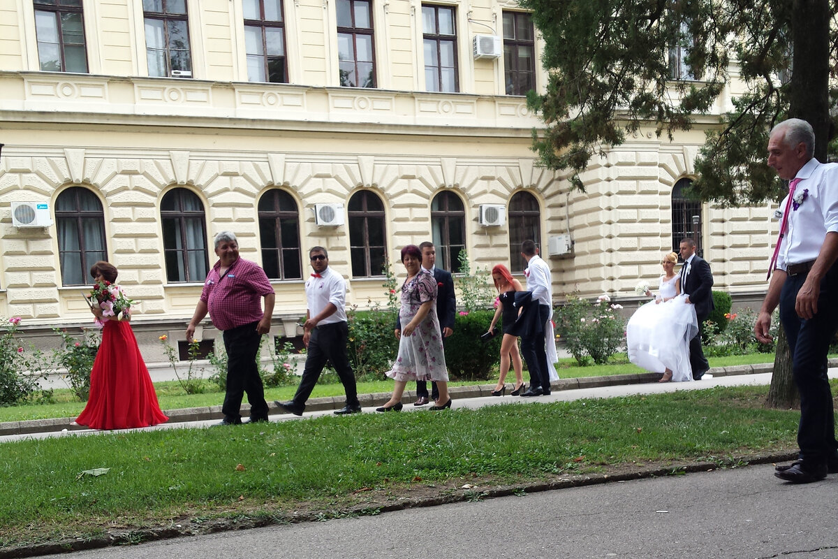 Только что заключили брак в ЗАГСе - Милорад Только что заключили брак в ЗАГСе - Милорад