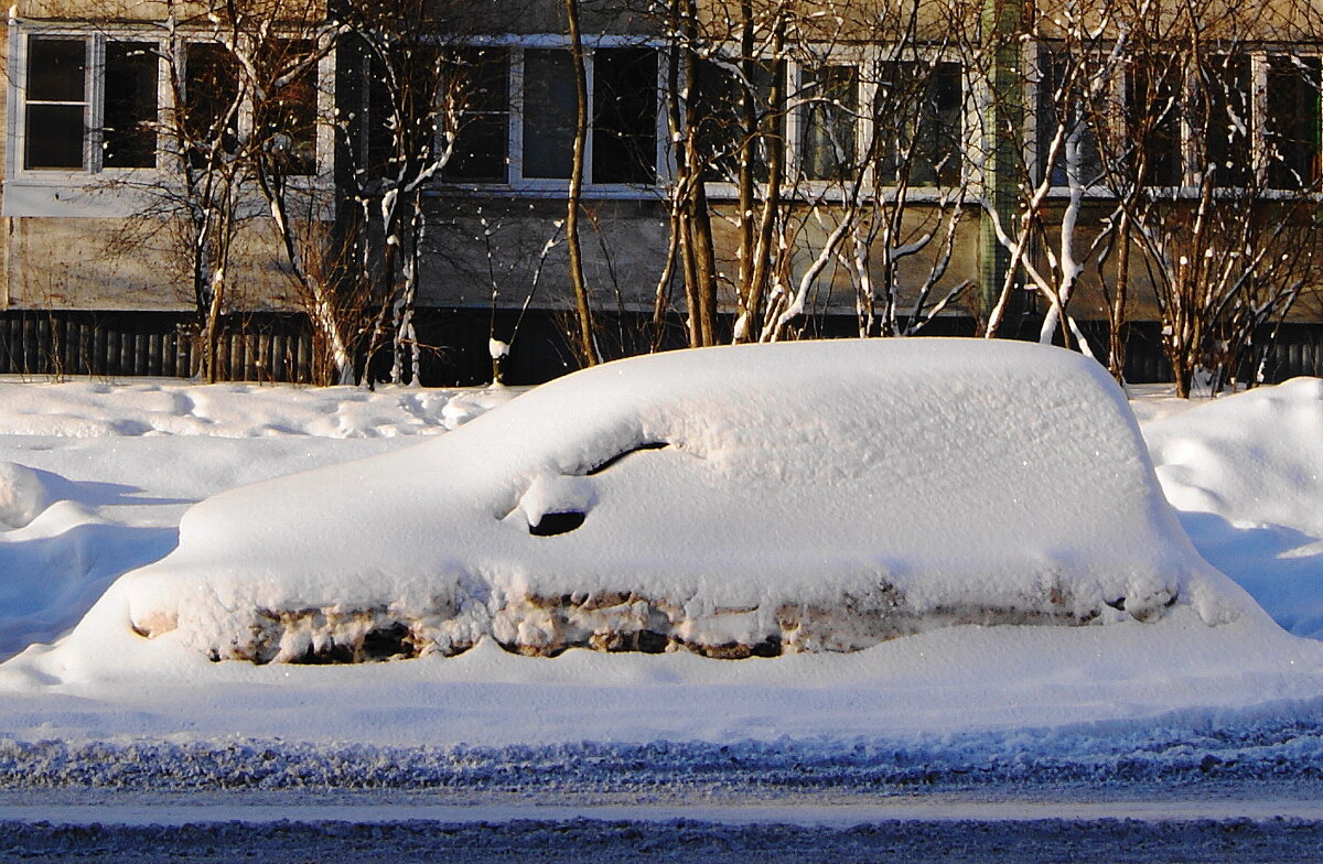 ЗИМНЕЕ - Виктор Никитенко
