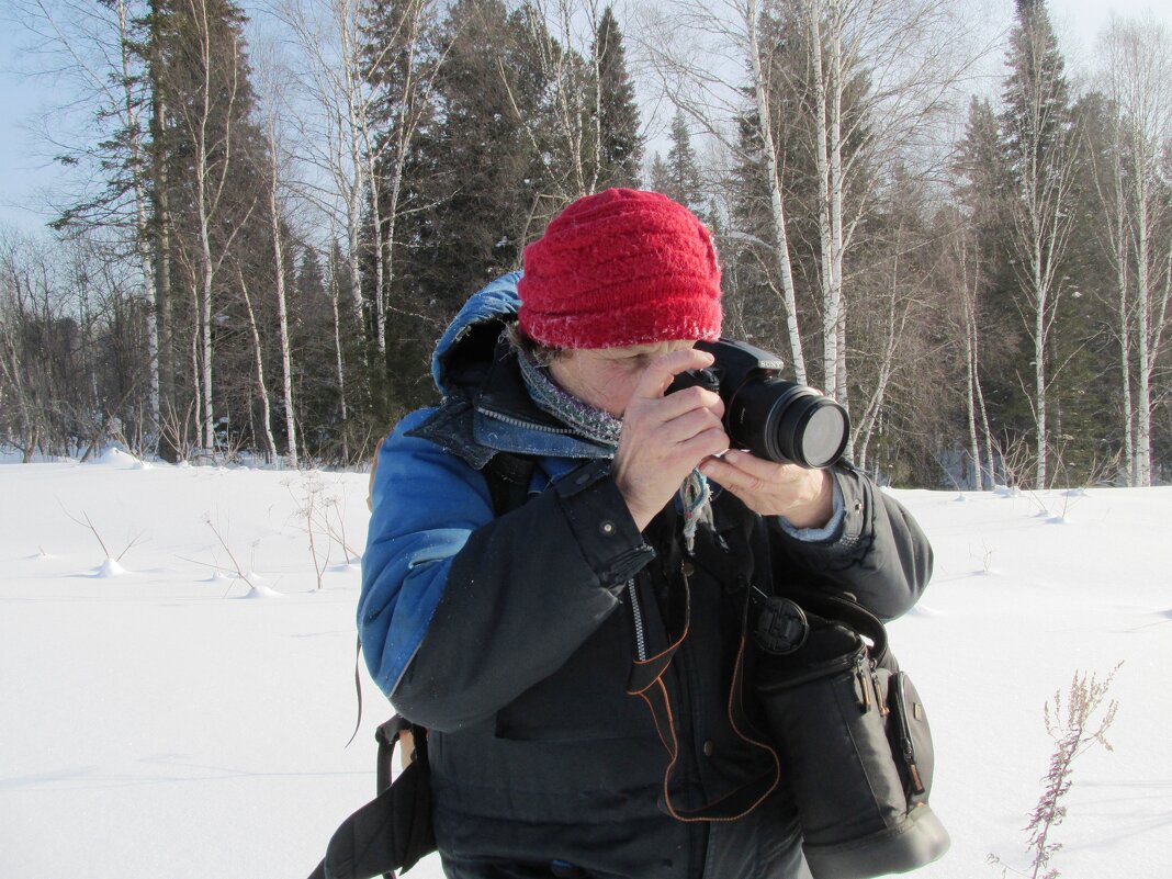 * - Galaelina *** * - Galaelina ***