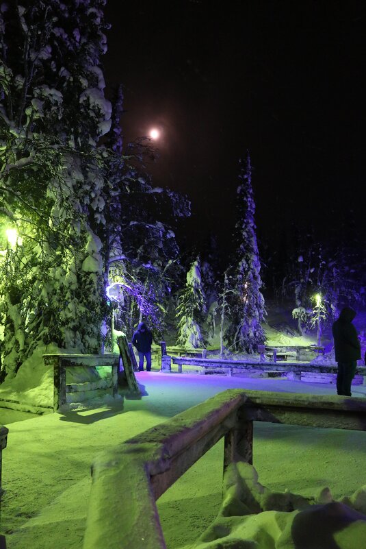 Ночь полной луны - Ольга 