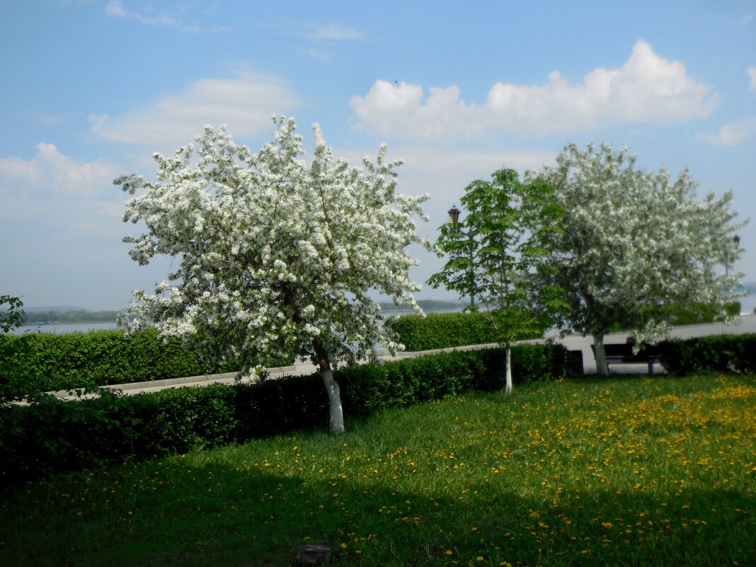 Ждем весну! - Надежда 