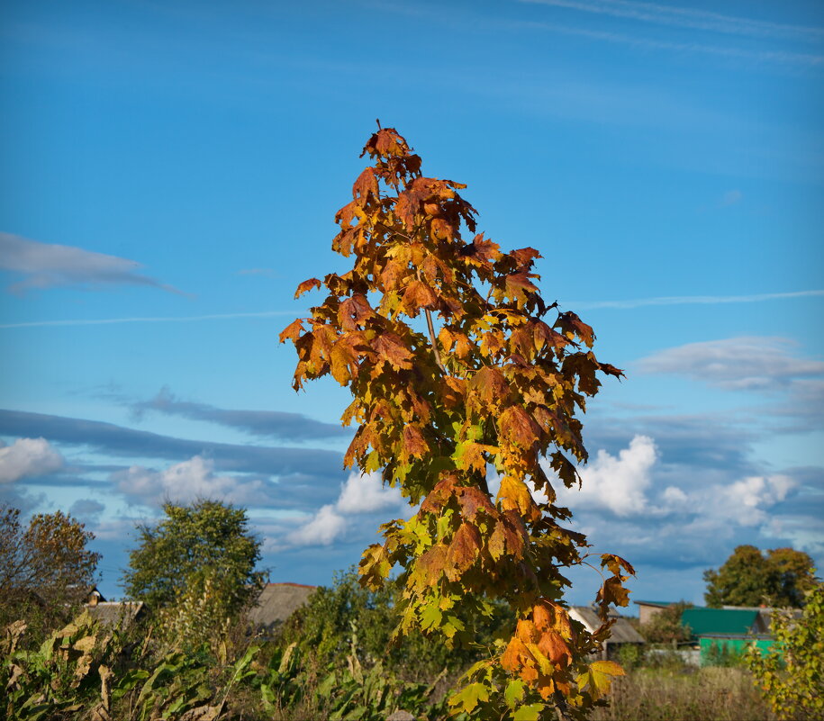 В начале октября - lady v.ekaterina