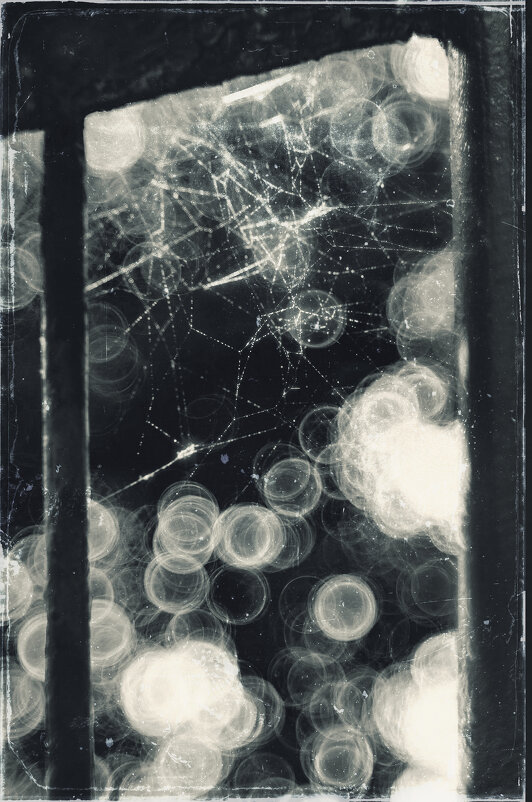 Летние тонкости. - Анатолий Щербак