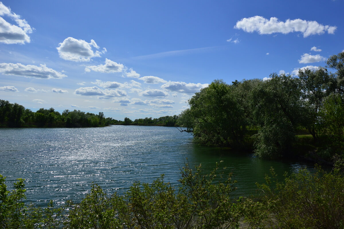 Местная река. - Виктор 