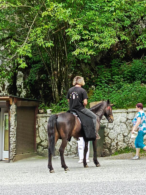 Всадник - Татьяна Пальчикова