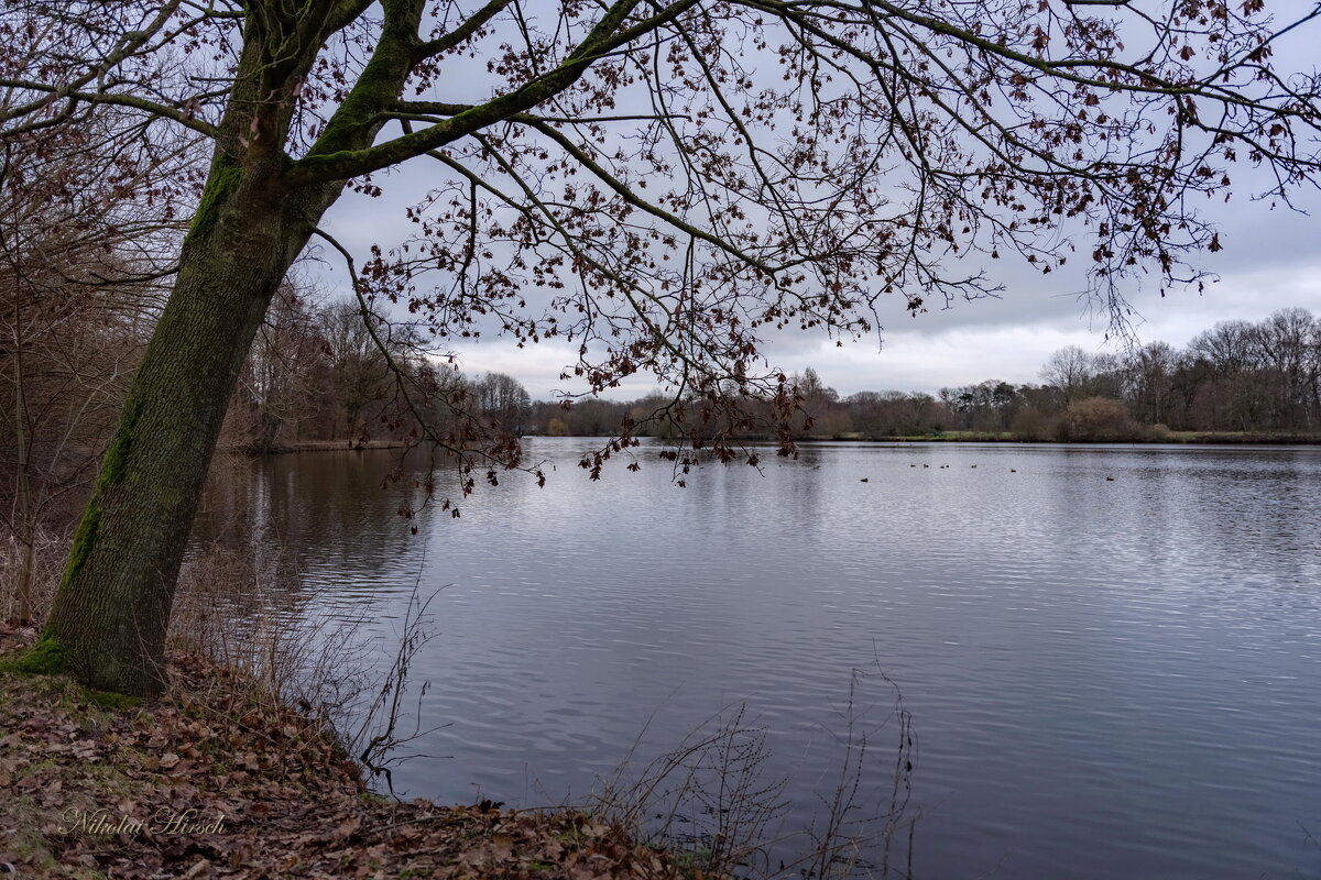 Январские мотивы... - Николай Гирш Январские мотивы... - Николай Гирш