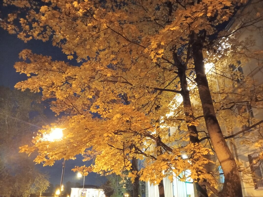 Осень - Сапсан 