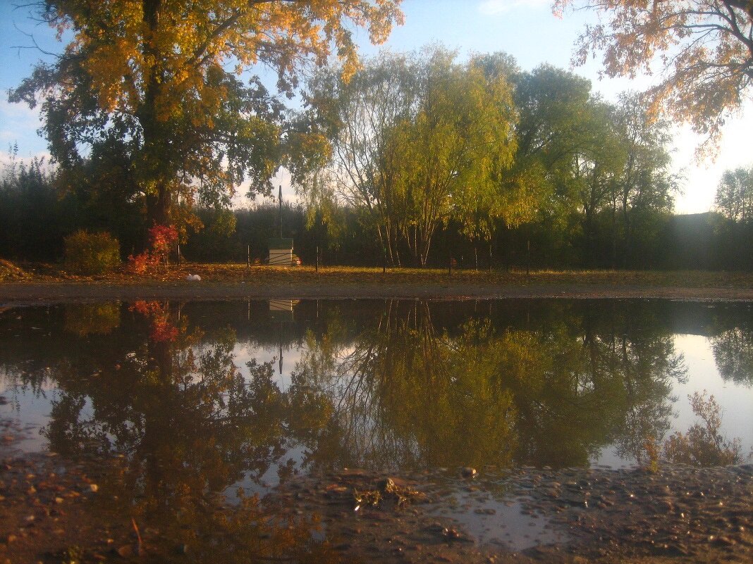 зеркало луж - Александр Кольцов