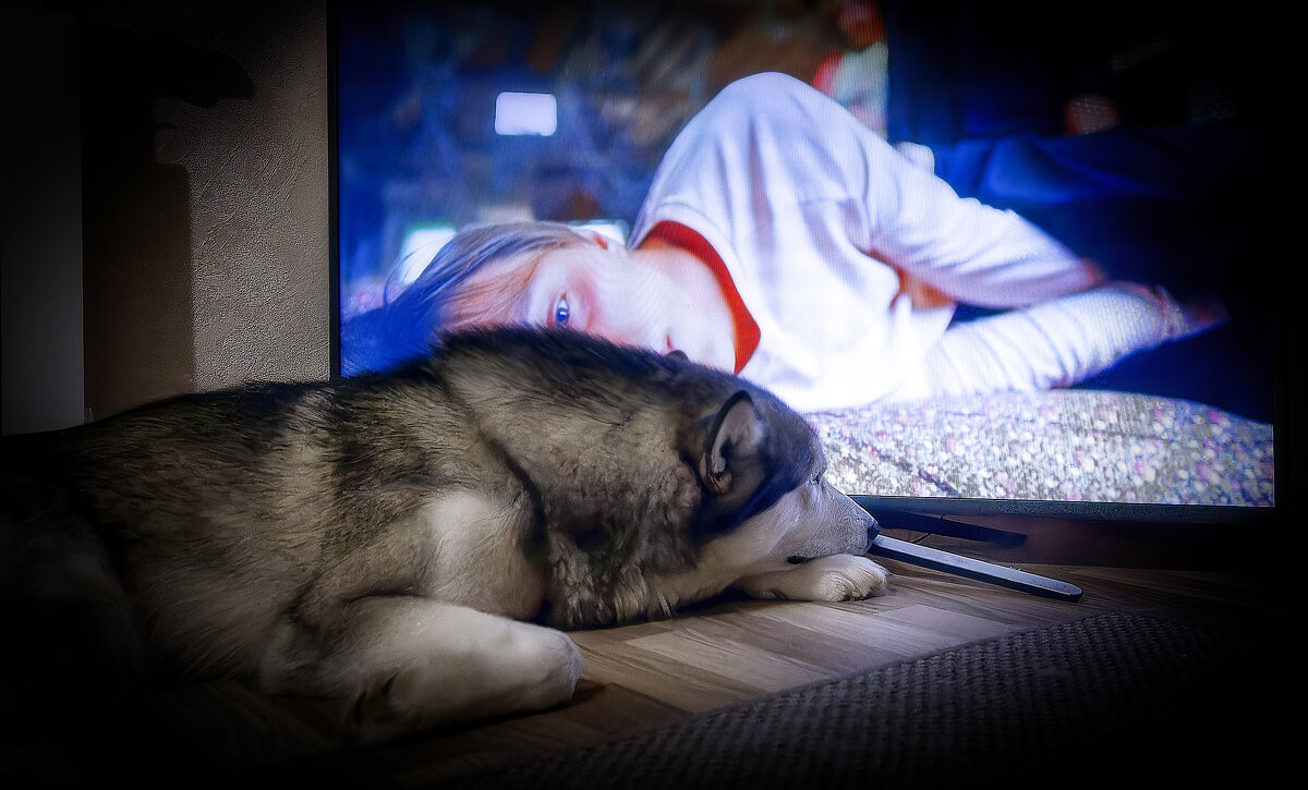 Ярик. - leff Postnov