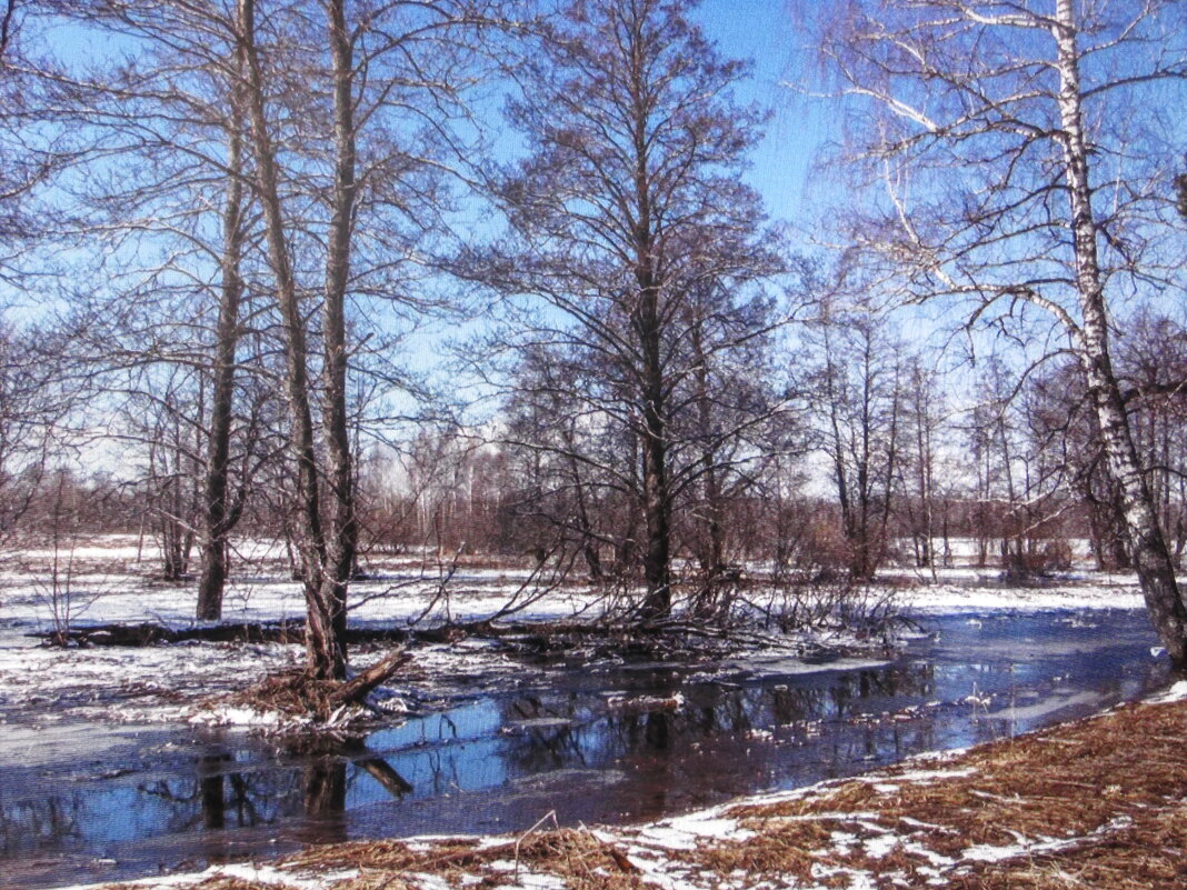 Февраль - Людмила Смородинская