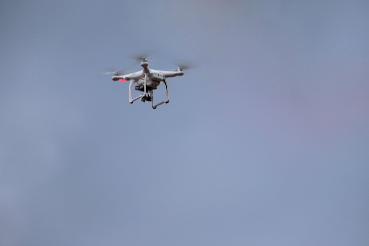 Птичка - Андрей Л. В. Птичка - Андрей Л. В.