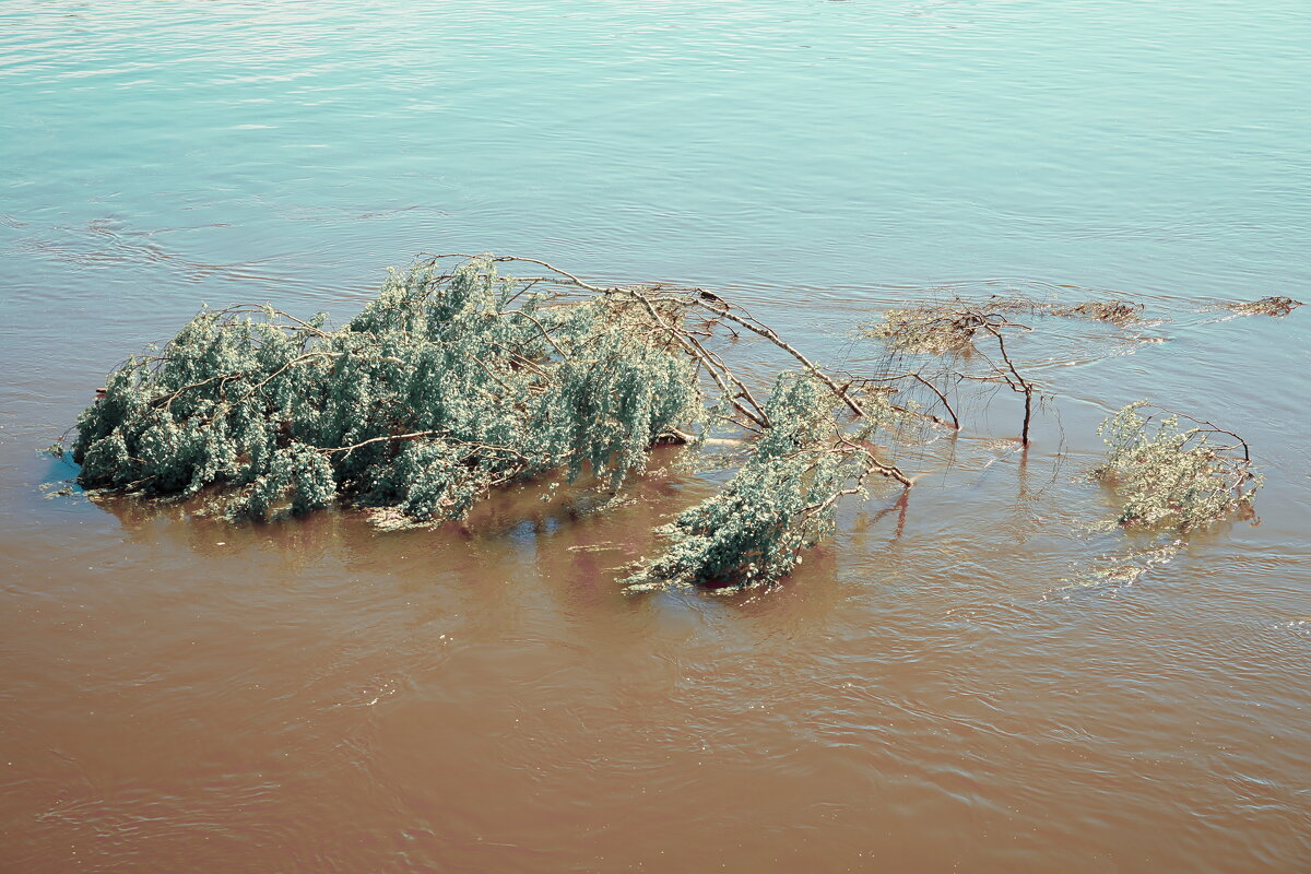 Название отсутствует - Денис Безногов
