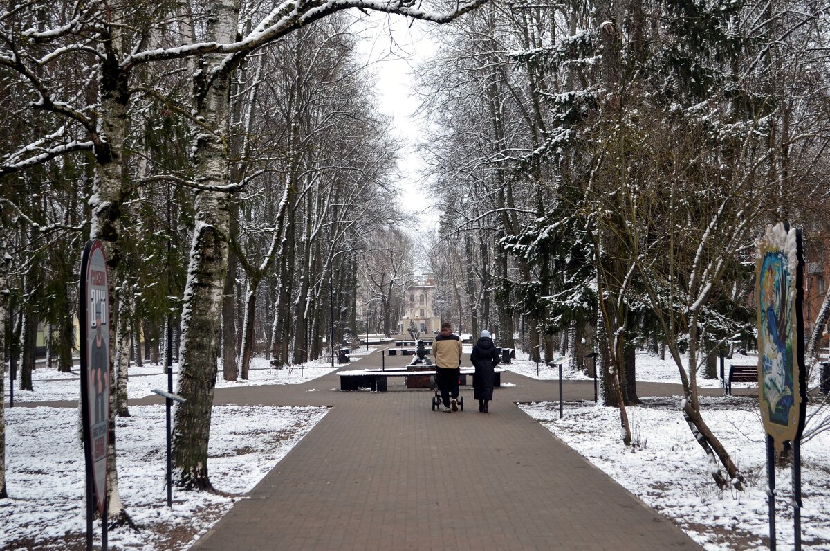 Великие Луки, февраль 2025... Трое... - Владимир Павлов