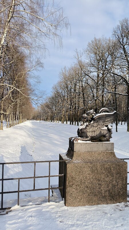 Александровский парк. Февраль. - Ольга Александровский парк. Февраль. - Ольга