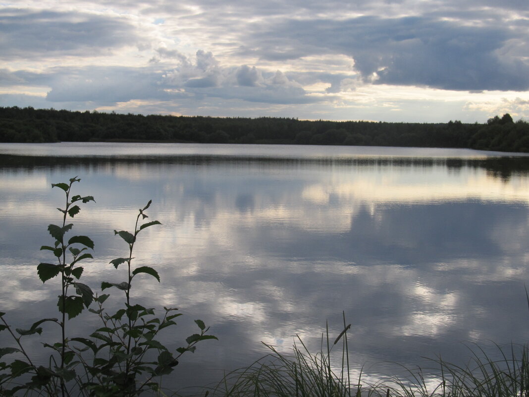 Уральское - Елена Шаламова Уральское - Елена Шаламова
