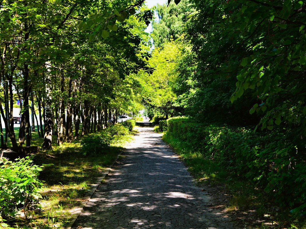 Чебоксары. Аллея сквера 50-летия ВЛКСМ. - Пётр Чернега Чебоксары. Аллея сквера 50-летия ВЛКСМ. - Пётр Чернега