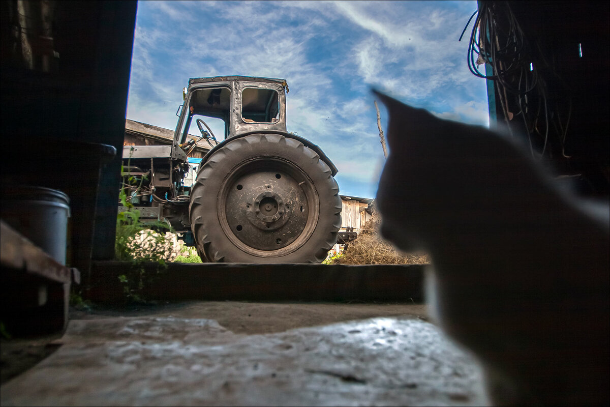 САРАЙ - Александр Кустов