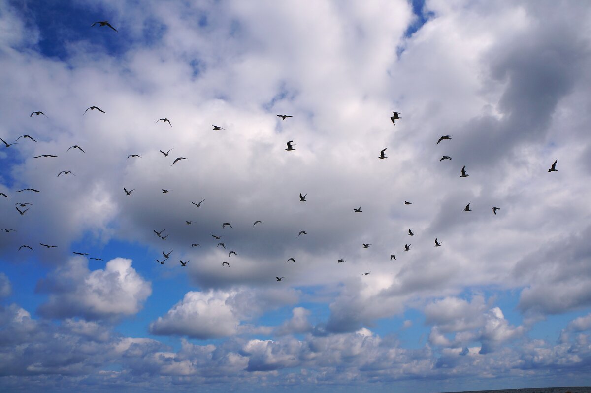 ***** - Алёна Савина