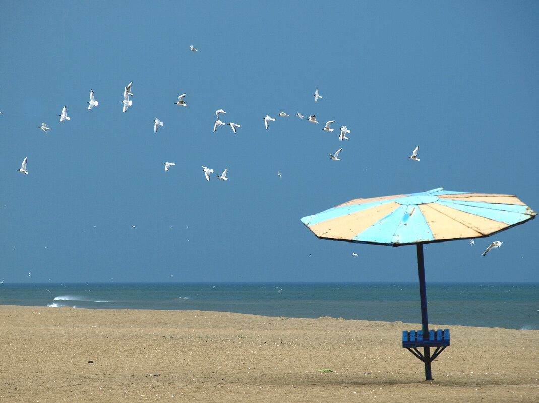 против ветра - Всеволод против ветра - Всеволод