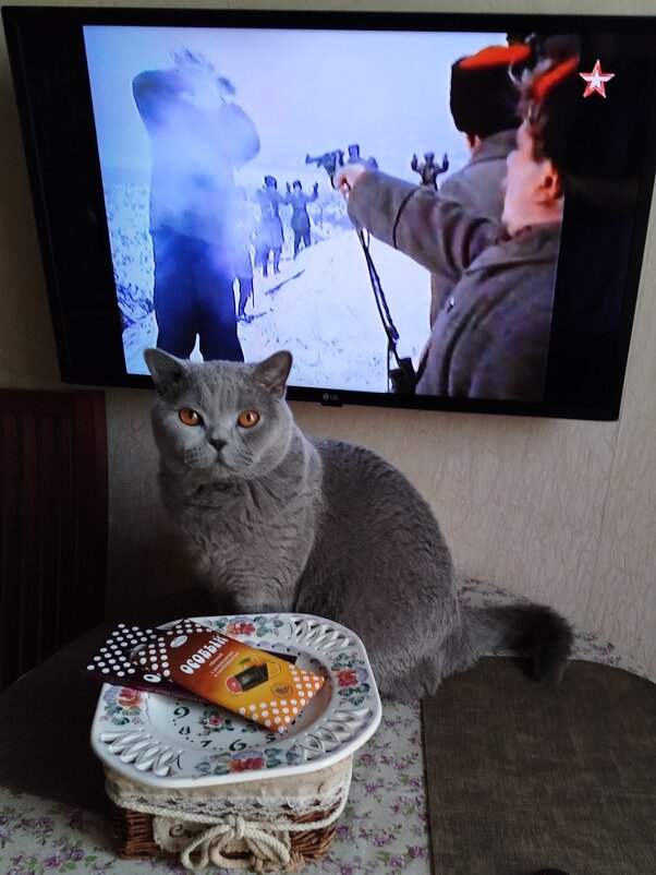 Смотрел кино. Много думал. - Лютый Дровосек