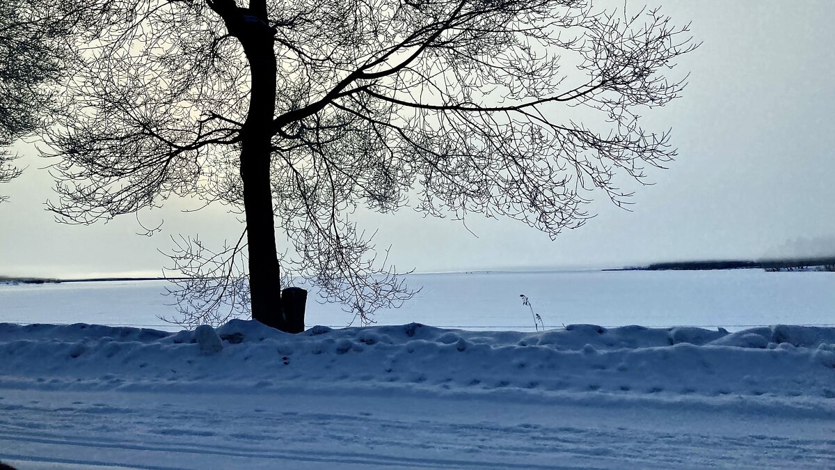 . - Иннокентий Авдонин