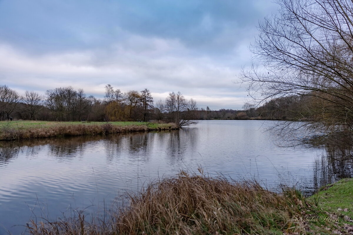В январе... - Николай Гирш