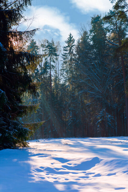 В парке - vladimir Б