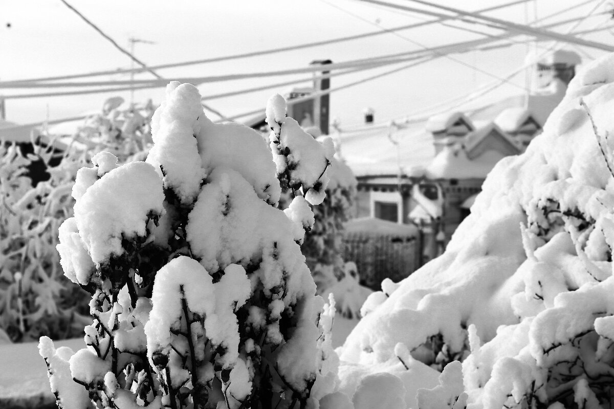 Снег! - Юрий Гайворонскiий